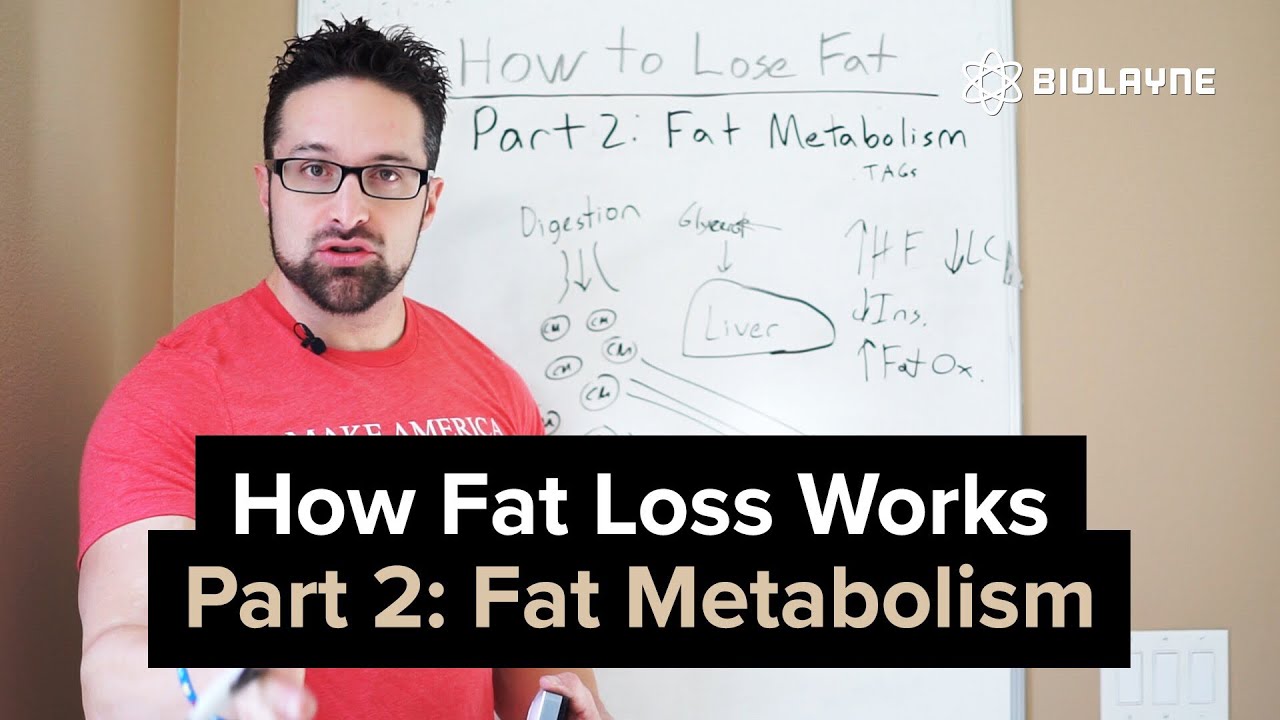 How Fat Loss Works - Episode 2: Fat Metabolism