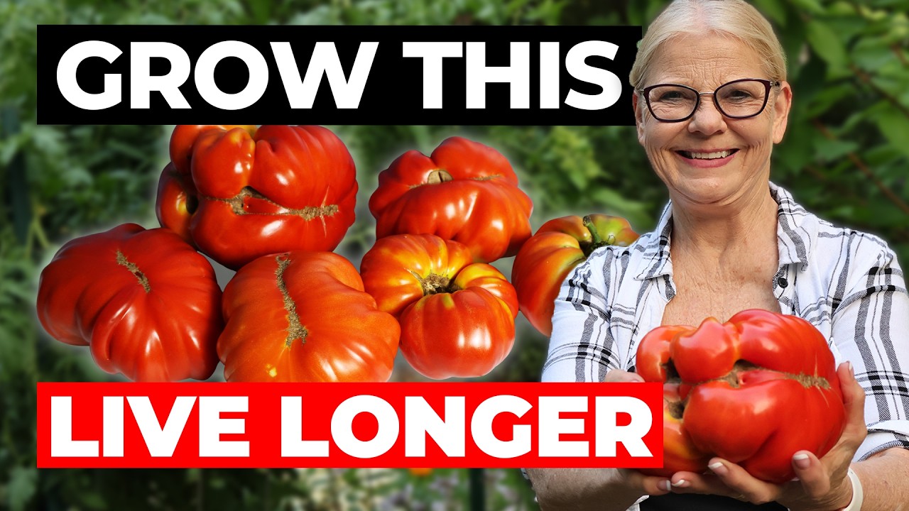 Giant Tomato Secrets! Sustainable Gardening Tips for Huge, Nutritious Harvests | Dr. Joanette