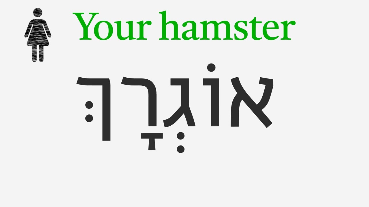 Possessives in Biblical and Modern Hebrew: Hebrew Basics #20