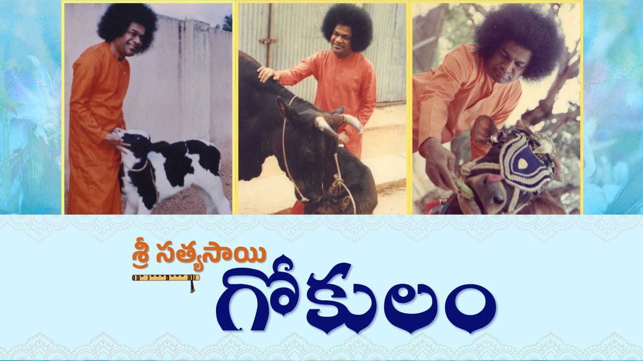 శ్రీ సత్యసాయి గోకులం | Sri Sathya Sai Gokulam | Documentary | Sri Krishna Janmashtami Special
