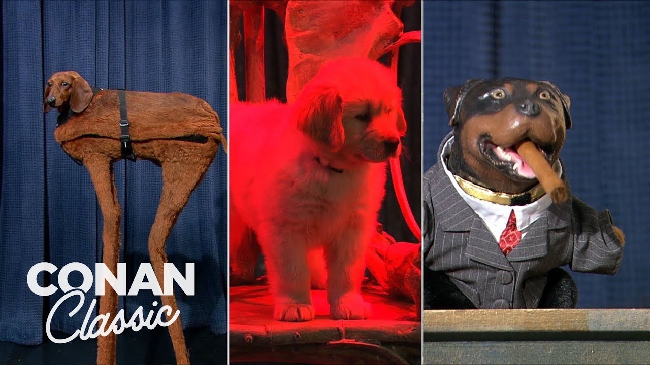 Conan Helps The Obamas Find A Dog | Late Night with Conan O’Brien