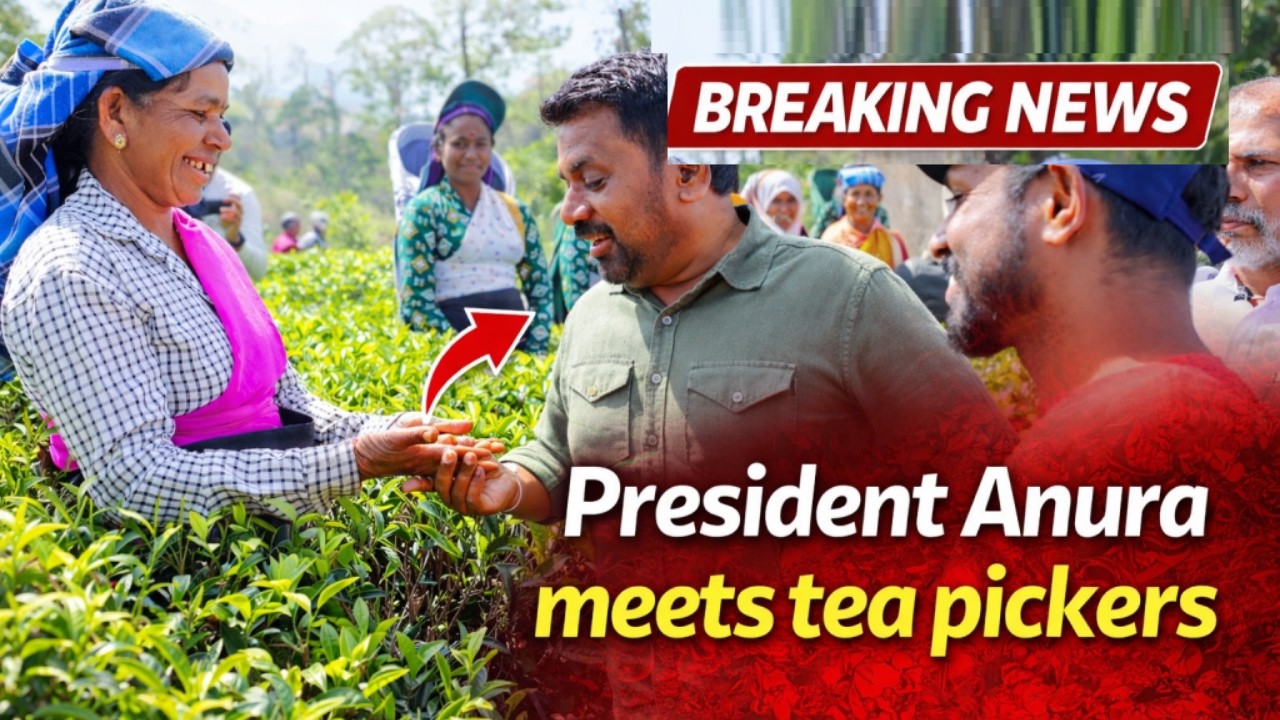 President Anura Kumara Dissanayake met a group of plantation workers