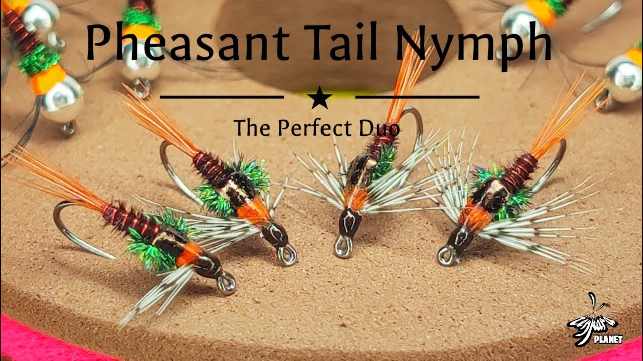 Montaje El Dúo perfecto, Ninfa y Perdigón en Faisán. Pheasant Tail Nymph Tungsten Bead.