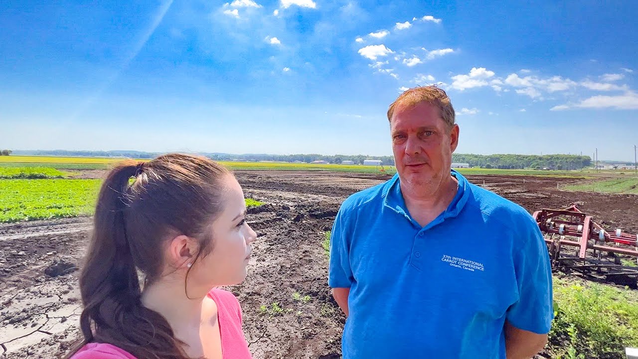 Ценные культуры!!!! 1000 бушелей на акр сельского хозяйства 2022