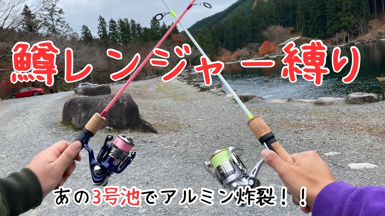 【エリアトラウト】大物だらけ！難攻不落の発光路の森3号池でアルミン爆釣テク炸裂！