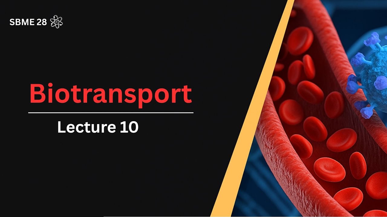 Biotransport lecture 10