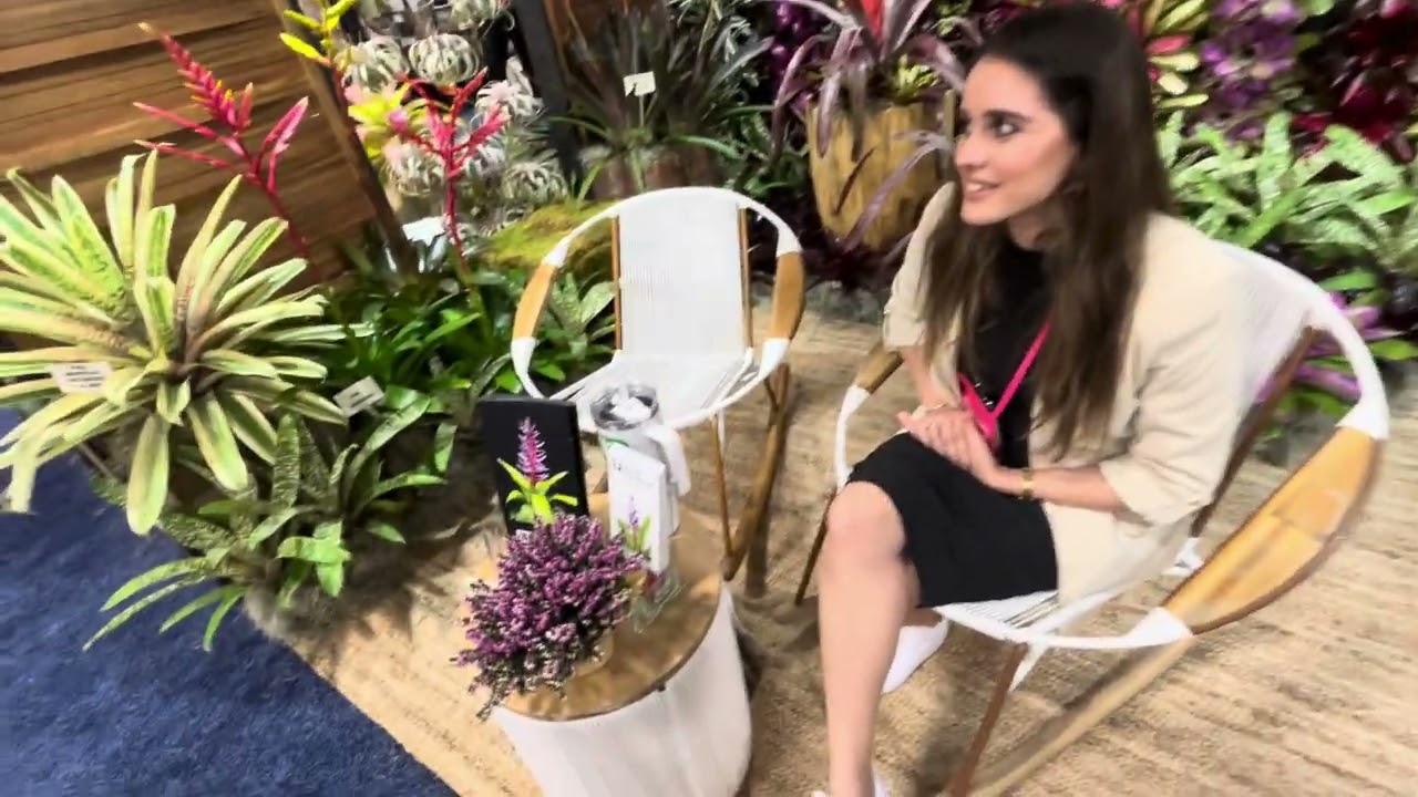 Gardening with Bromeliads and Tillandsias