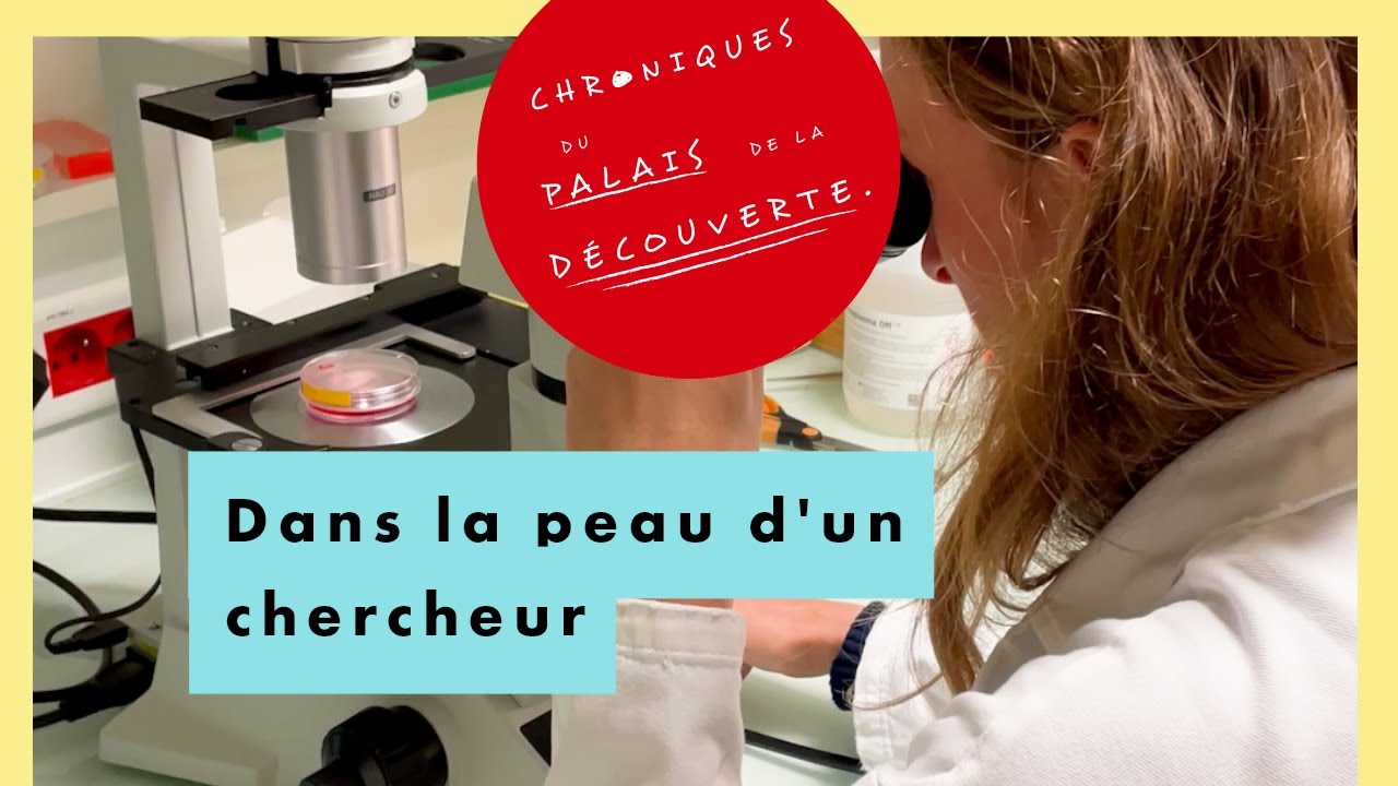 Dans la peau d'un chercheur - Chroniques du Palais de la découverte - Épisode 14
