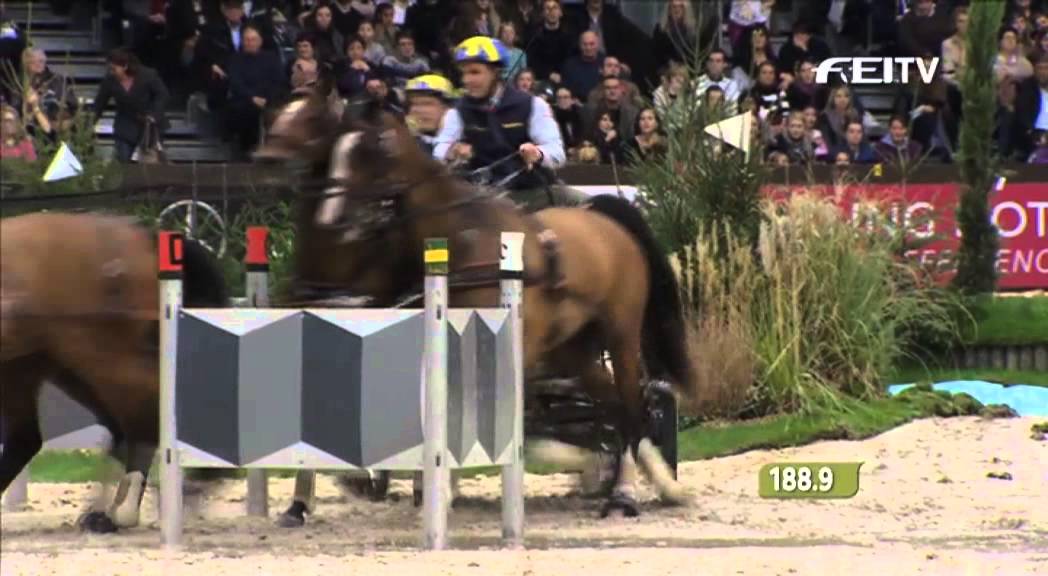 FEI World Cup Driving 2012/13 Geneva - Tomas Eriksson 2nd Place