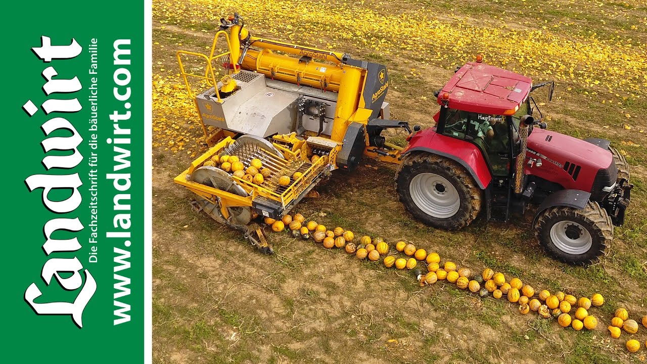 Agro-Stahl Phönix Kürbiserntemaschine | landwirt.com