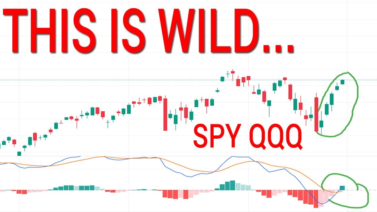 😲STOCK MARKET CRASH? MORE LIKE BEARS CRASH OUT! SPY QQQ. Stock Market Technical Analysis.