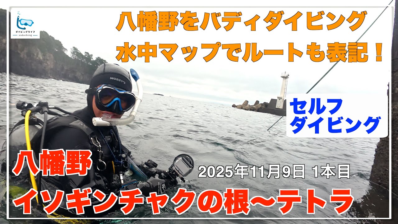 八幡野でセルフダイビングしてきました！動画内で水中マップのルートも表記してあります【伊豆ダイビング/スキューバダイビングvlog】