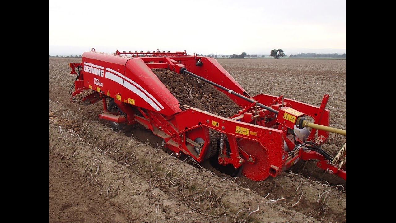 GRIMME WR 200 | Windrower for potatoes | 2-row