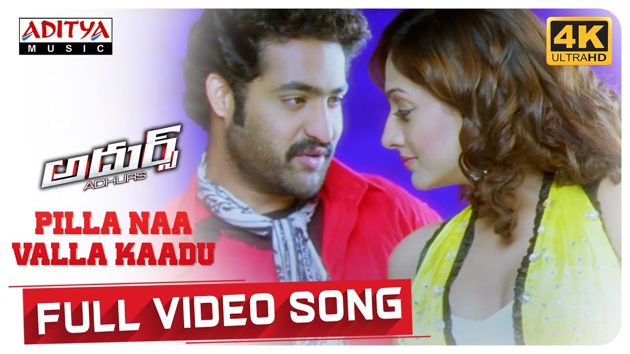 Pilla Naa Valla Kaadu Full Video Song 4K  || Adhurs Movie || Jr. NTR, Nayanthara , Sheela || DSP