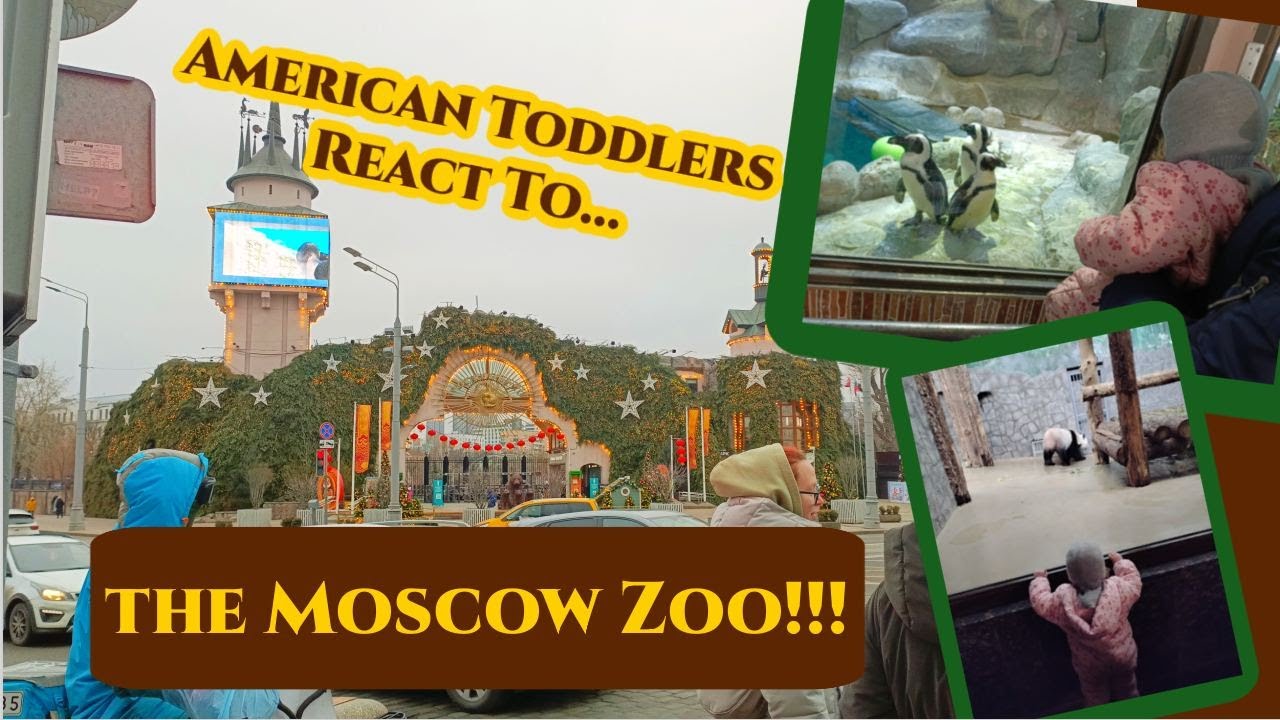 What Will American Children Think of a Russian Zoo?