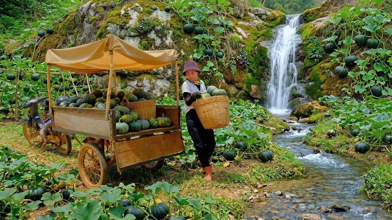Harvest A Cart Of Round Pumpkins To Sell At The Market And Cook, Build A Farm, Grow Vegetables