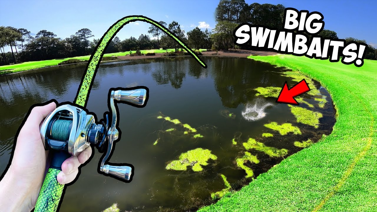 1v1 Swimbait ONLY Fishing Tournament!!! (CRAZY ENDING)