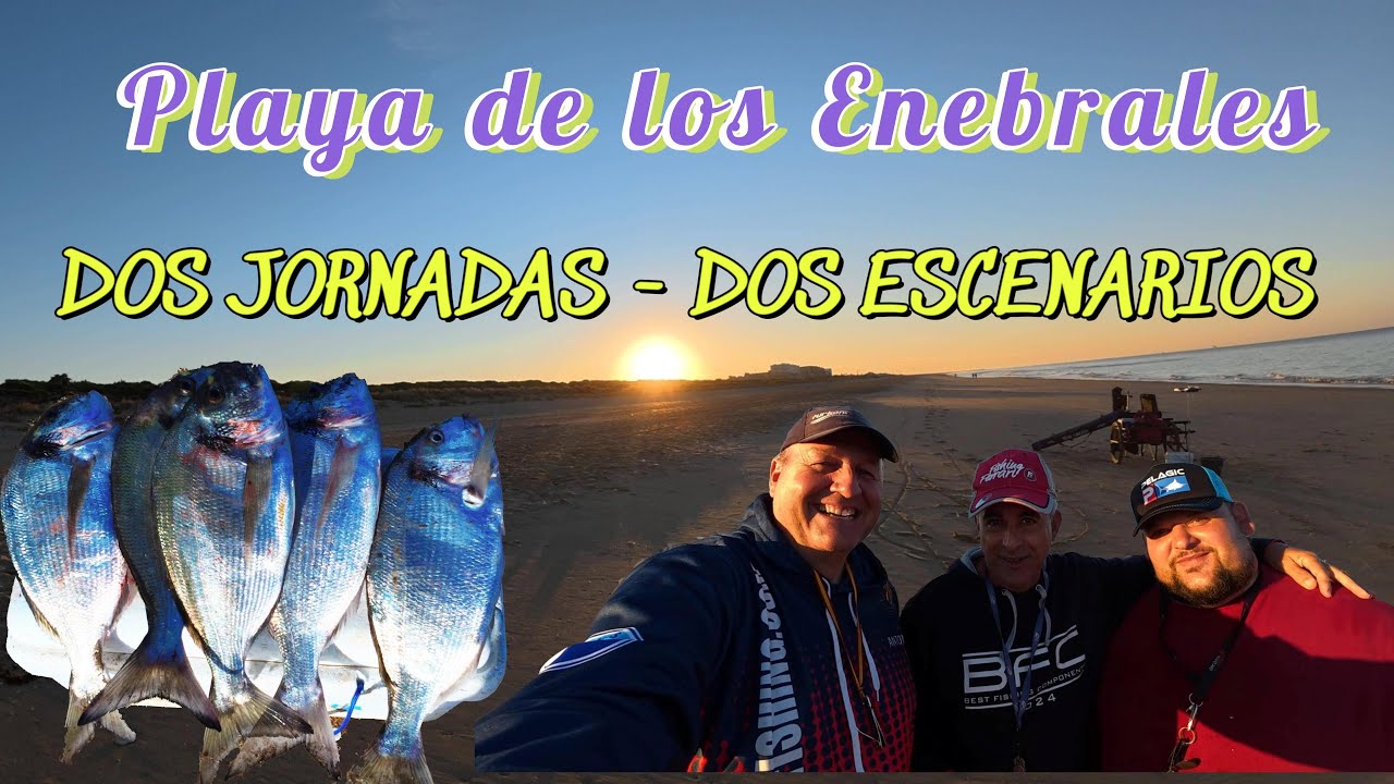 PESCA SURFCASTING  EN ENEBRALES Y OTRA JORNADA DESPUES BUSCANDO DORADAS