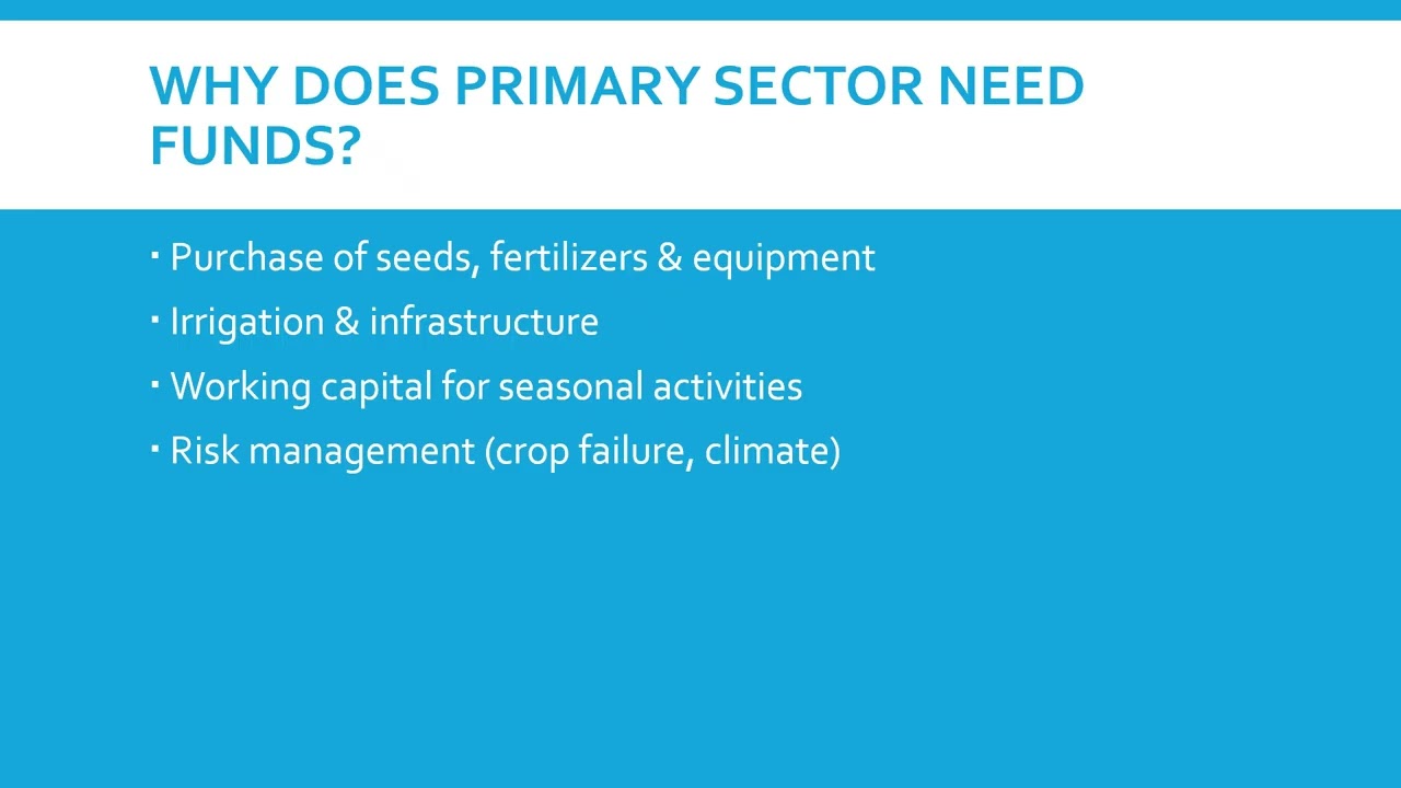 Sources of Finance in Primary Sector of India | Agriculture & Rural Credit Explained
