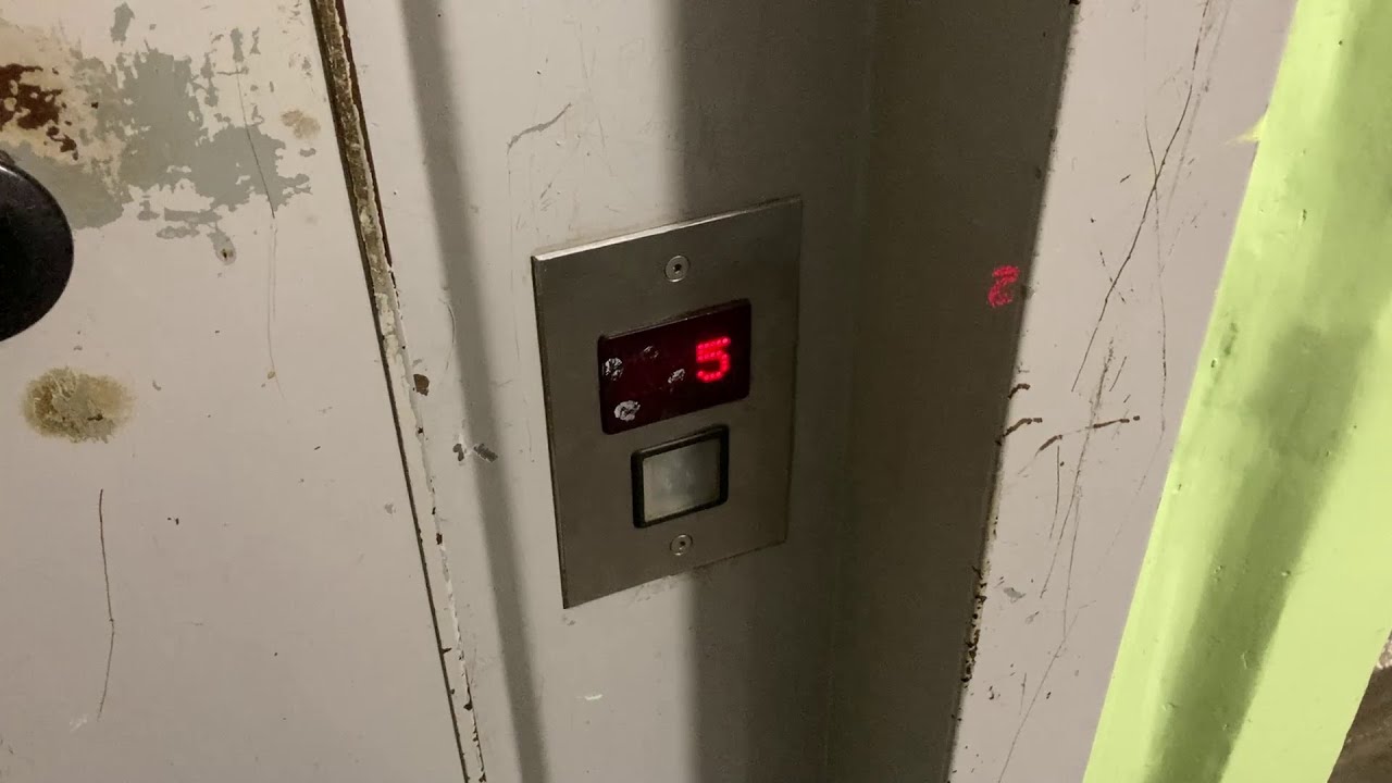 ZREMB (mod. Lift Service) i Lift Service | Konopnickiej 8, Ostrołęka.