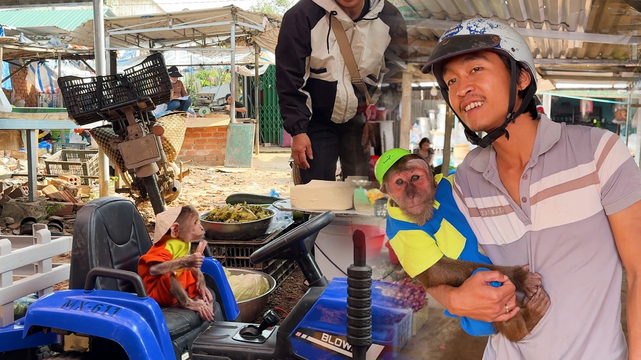 BUEM goes to the market , Dad & CUTIS' reaction