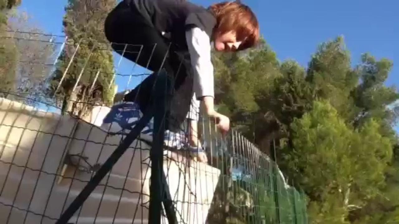 Best Funny Fails of the Week February 2015