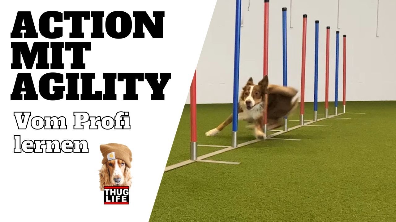 Agility - vom Profi lernen