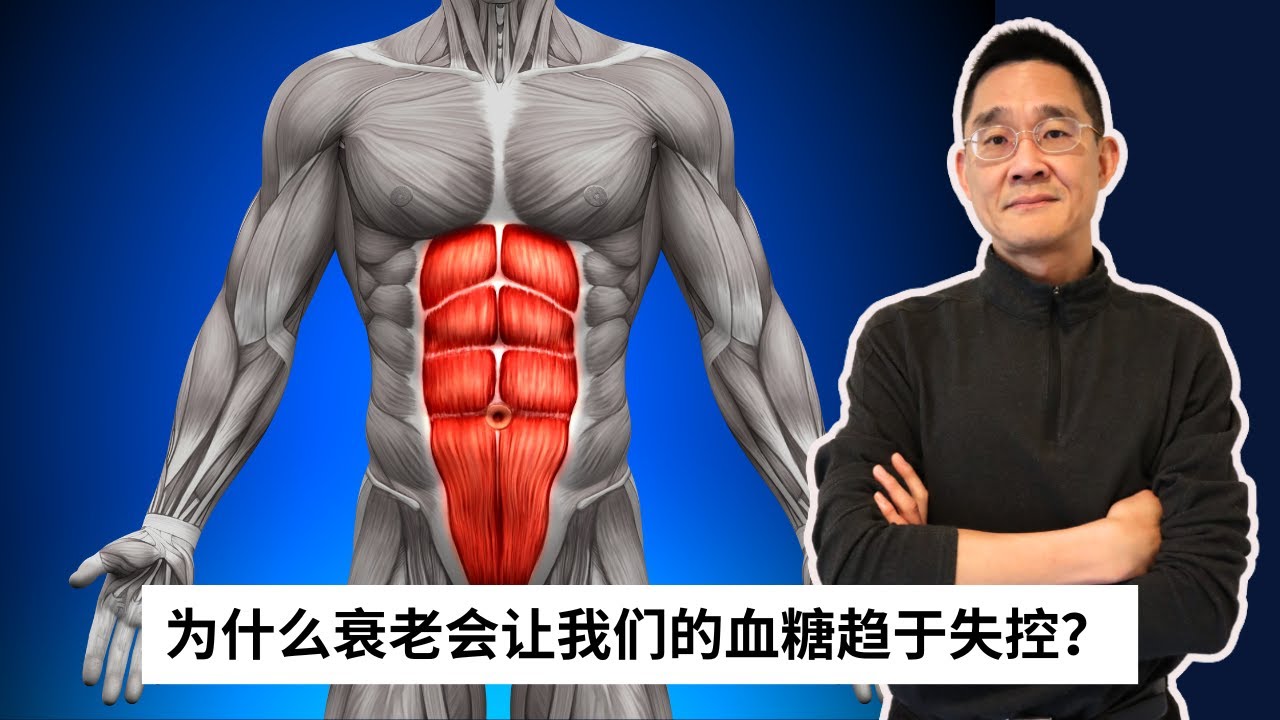 Ep 75 我们如何延缓血糖调节器官的老化？