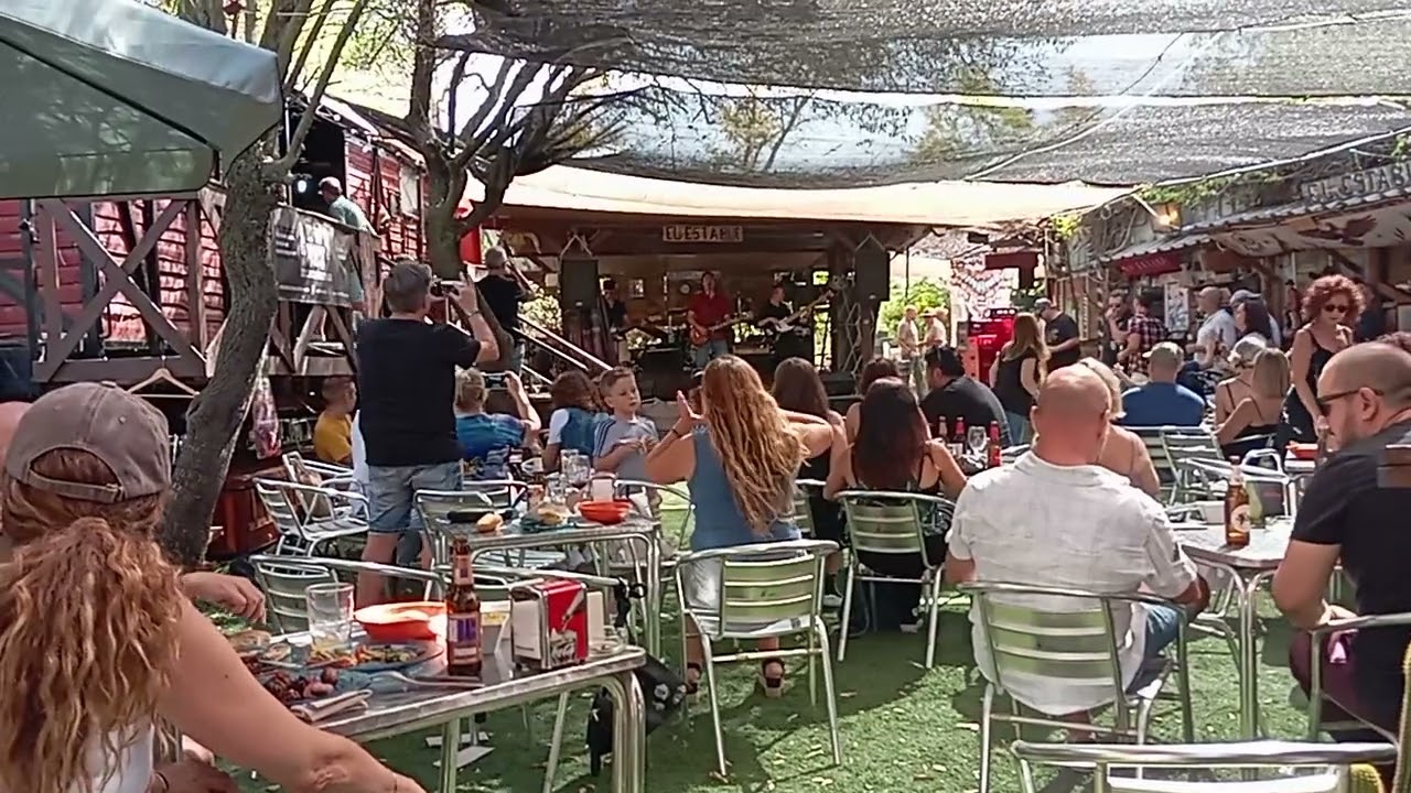 Band on The Bayou - Bad Moon Rising
