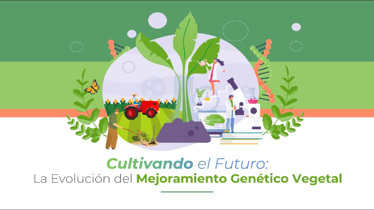 Cultivando el Futuro: La Evolución del Mejoramiento Genético Vegetal