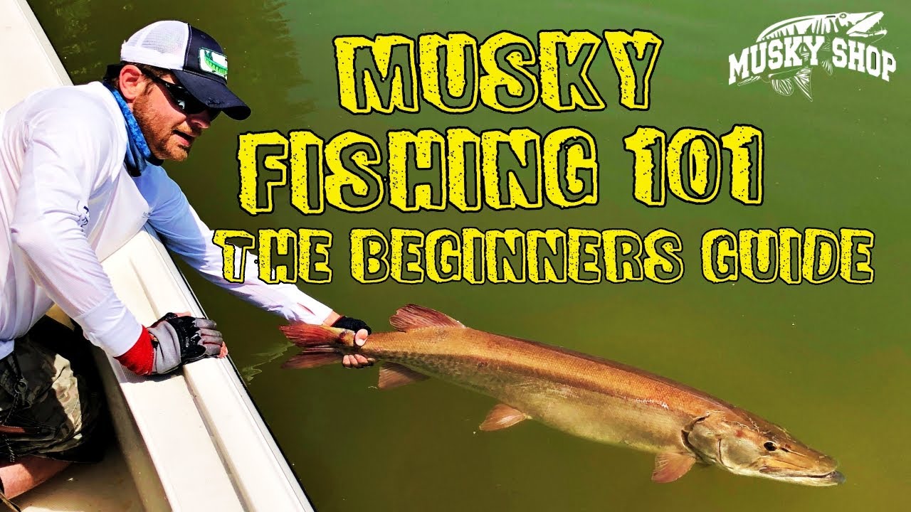 Starting Musky Fishing! The Beginners Guide!
