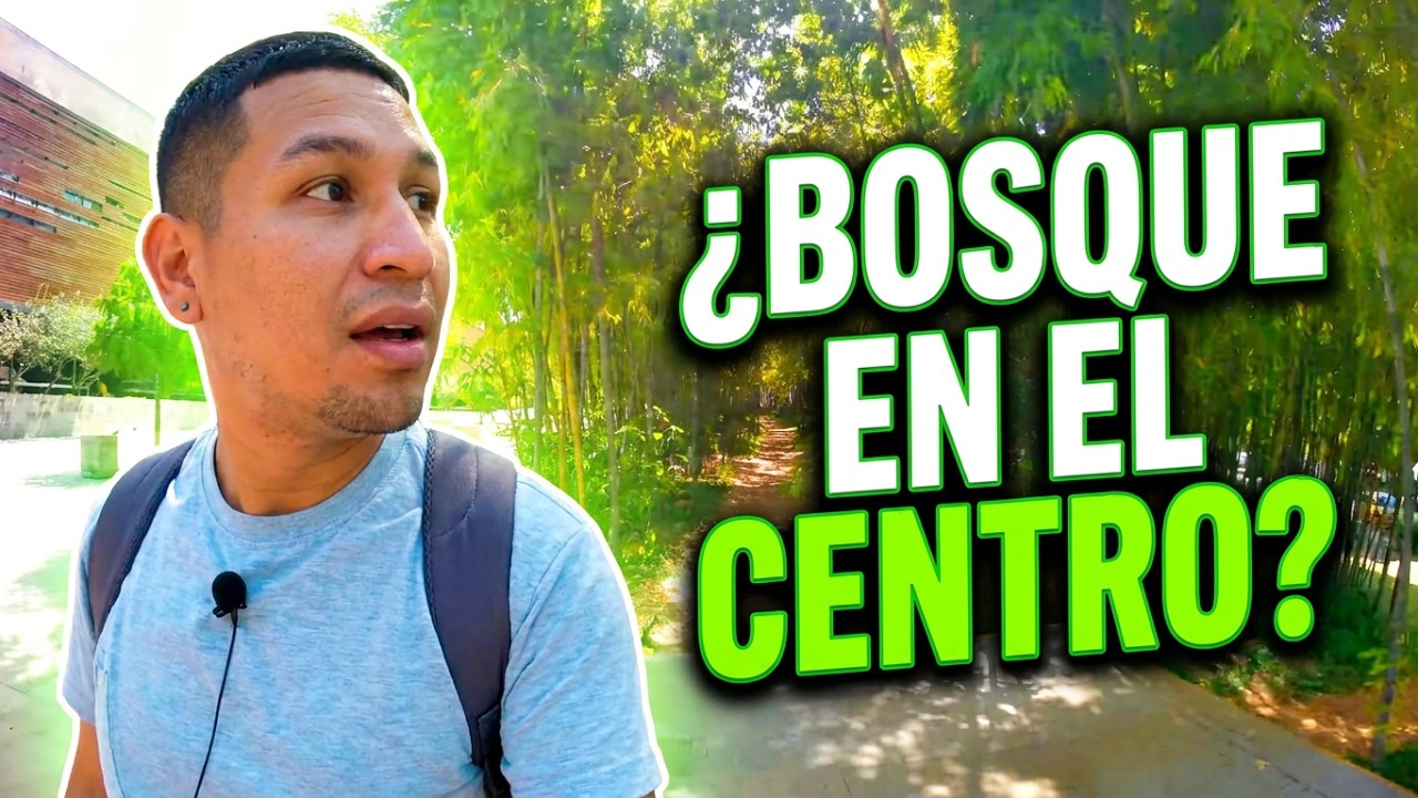 Un bosque de bambú en el centro de la ciudad.