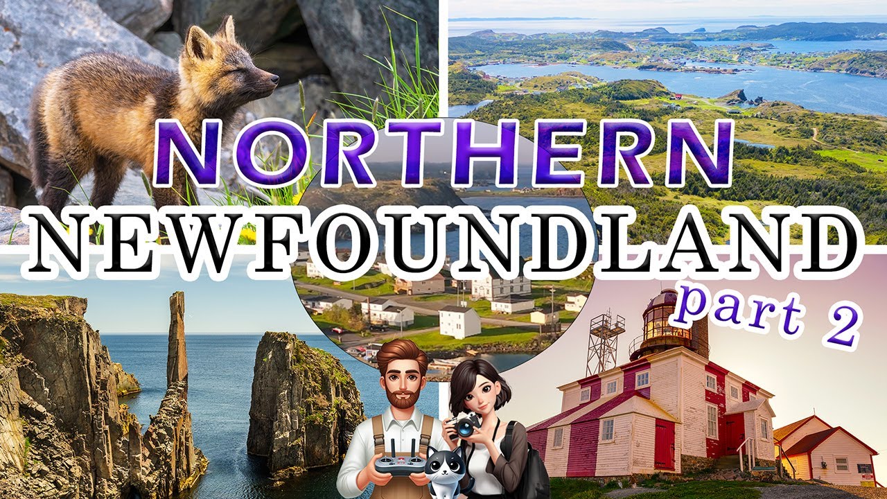 Newfoundland PART 2 - Best Places to Visit on the NORTH Coast: Drone & Photography 📷🐋🦞🐟🏘️🛥️🏝️🌊🌞