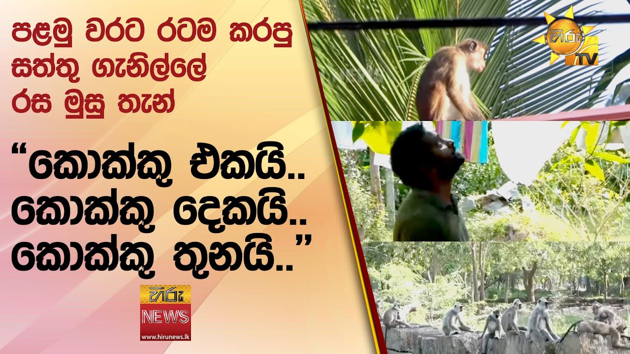 පළමු වරට රටම කරපු සත්තු ගැනිල්ලේ රස මුසු තැන් - 