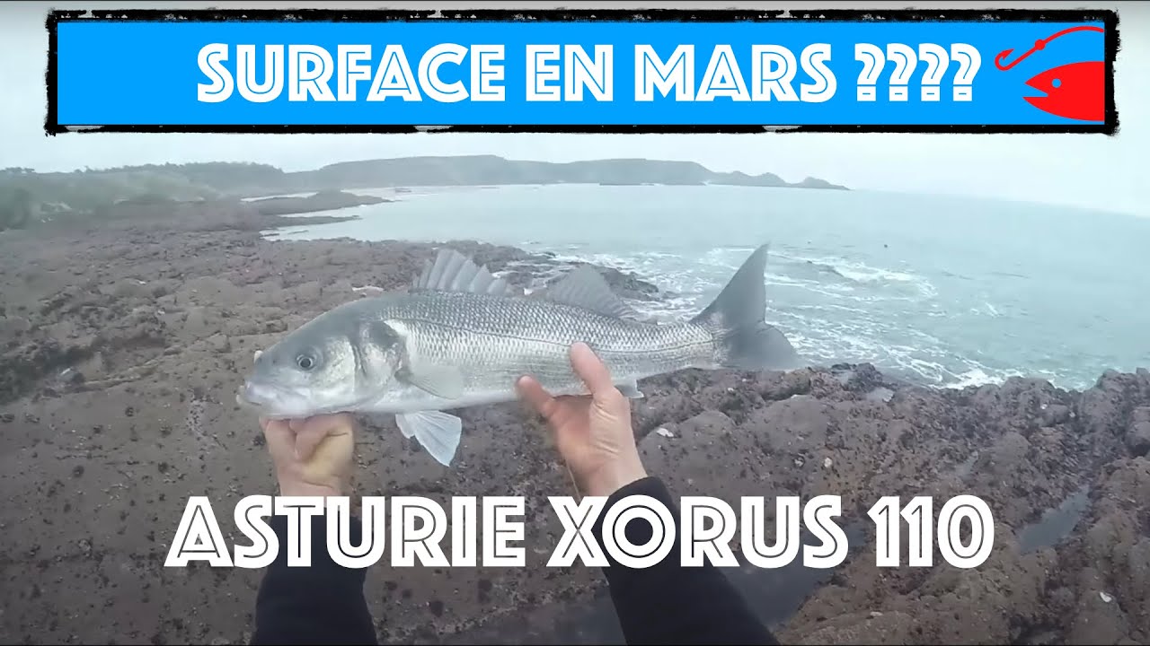 Ouverture &Eacute;poustouflante : P&ecirc;che du Bar aux Leurres de Surface en Mars !