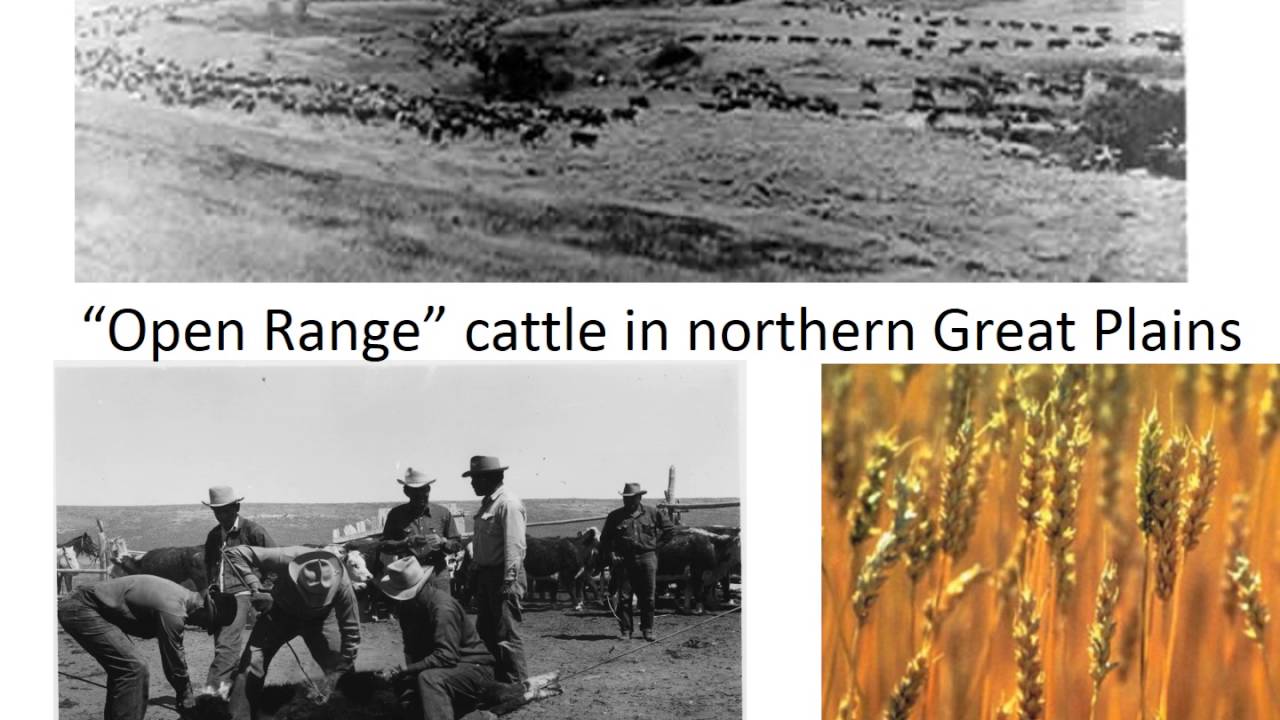 #6 End of Cattle Drives, Late 1870s and Early 1880s