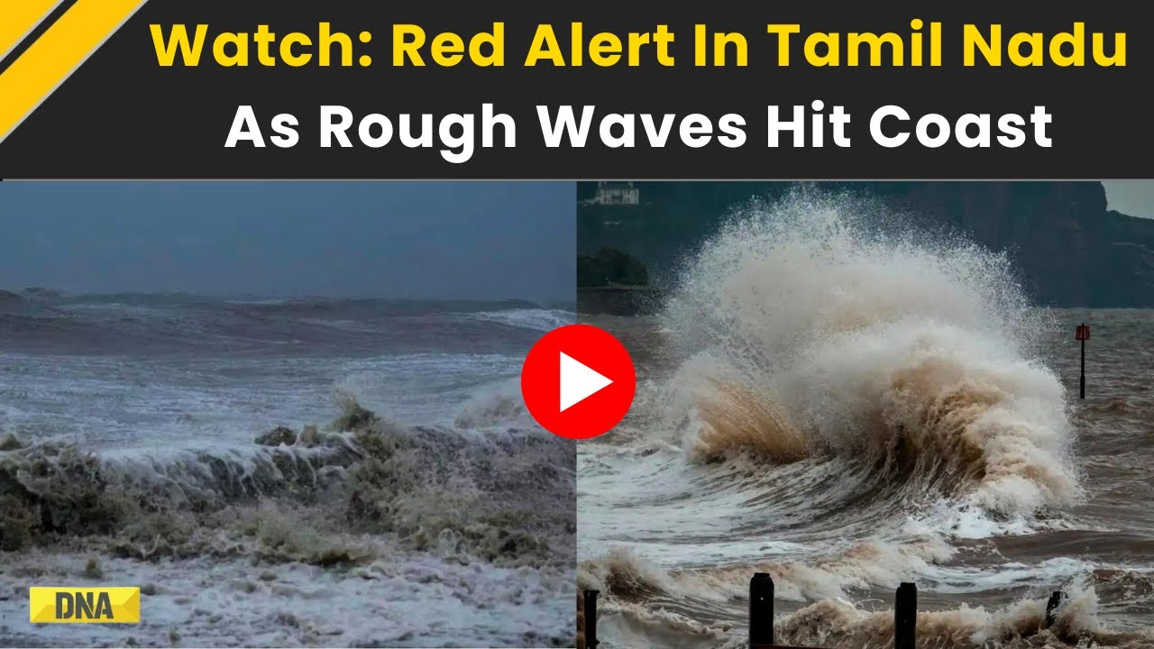 Tamil Nadu News: Tamil Nadu Faces Red Alert; Coast Hit By Strong Winds | Tamil Nadu Rain