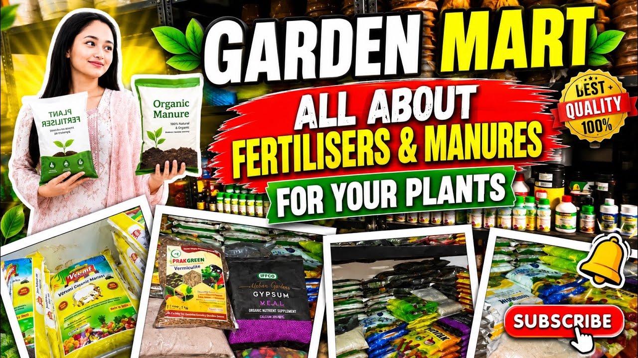 Garden Mart Lucknow: Best Plant Manures & Fertilizers for Thriving Monsoon Gardens! #manuretips