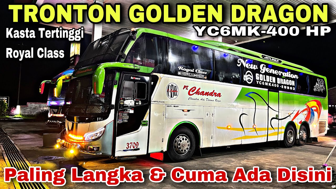 TRONTON GOLDEN DRAGON ❗️ Paling Langka & Cuma Ada Disini ❗️| trip Chandra 3709