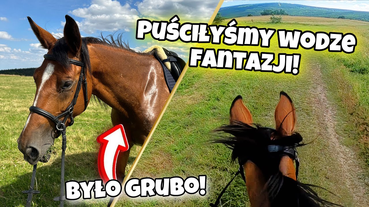 TEGO NAM BRAKOWAŁO! SZYBKIE GALOPY W TERENIE NA ŁĄCE!