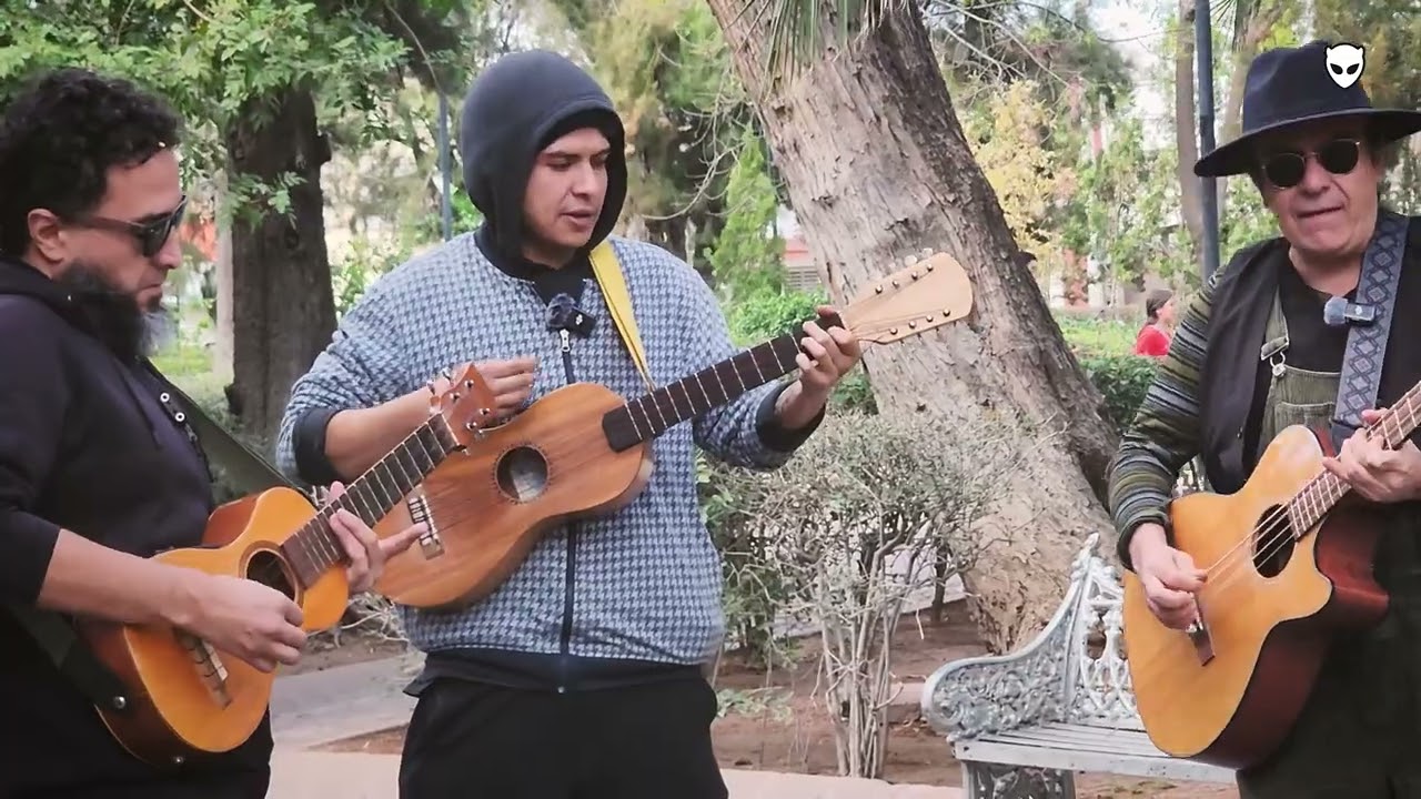 Radio Maíz - El Maíz 🌽 | Live Session
