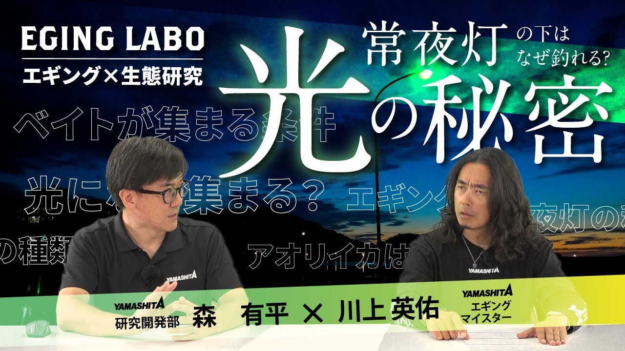 【エギングラボ】VOL.10 夜のエギングで人気のポイントである”常夜灯”の下はなぜアオリイカが釣れるのか？常夜灯の種類とその攻略方法まで徹底解説！