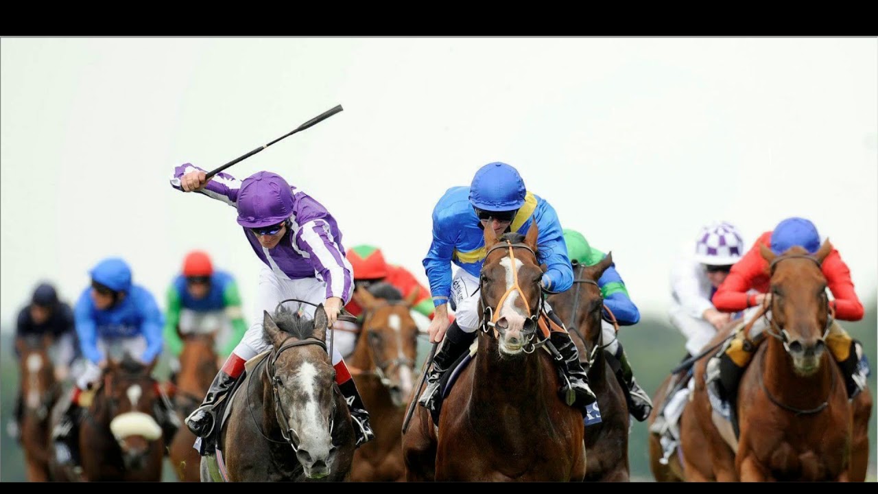 TRG: Thoroughbred Racing Game