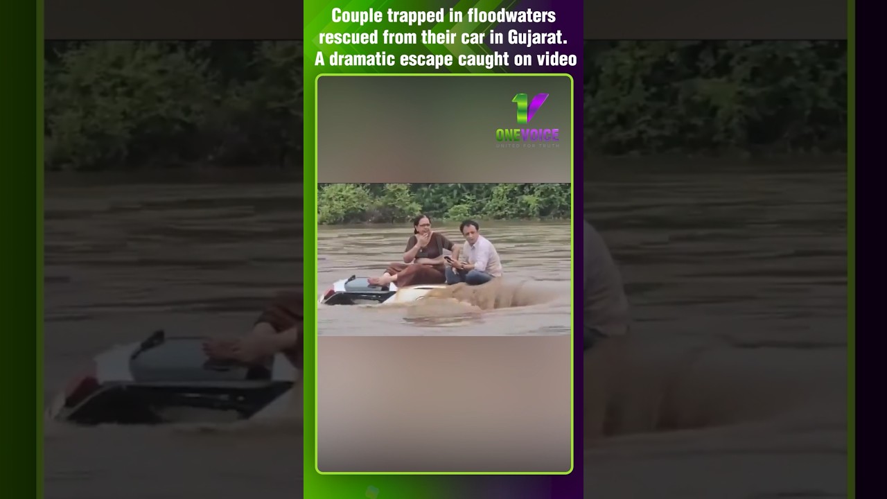 Rescue mission saves couple stranded on car roof amid Gujarat floods | One Voice