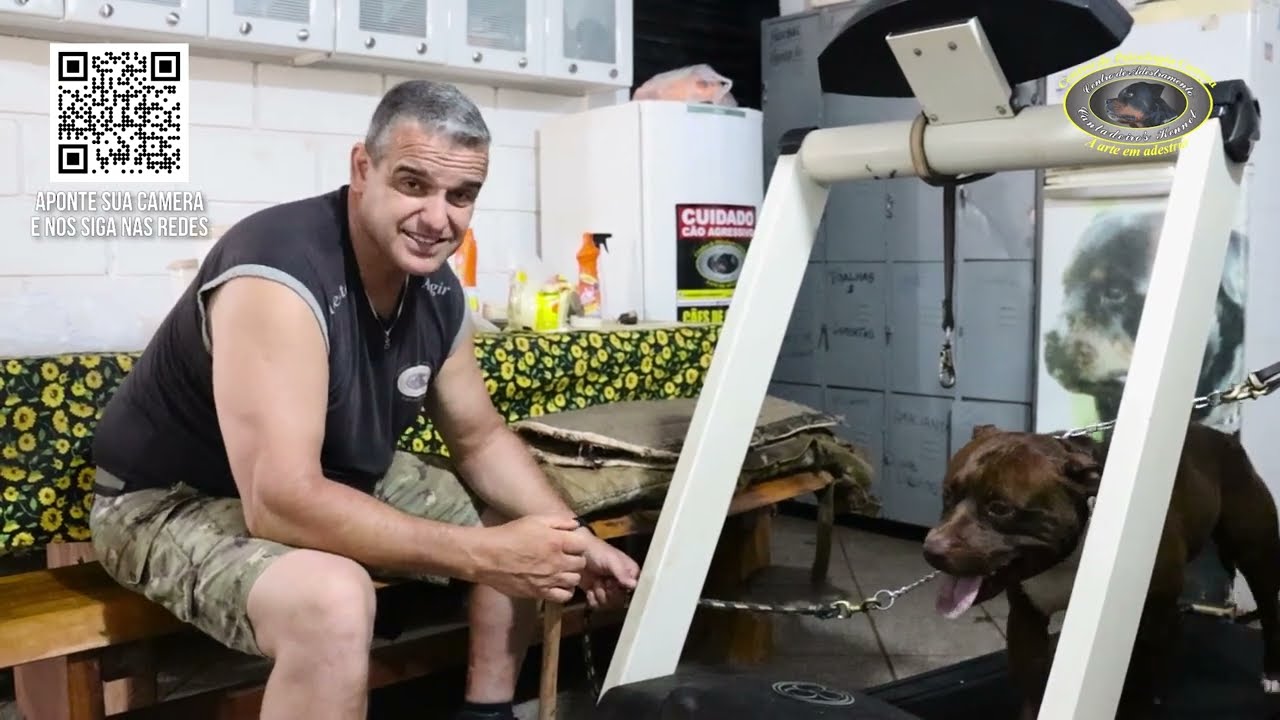 CHOCOLATE | Pitbull Agressivo | Chegada ao Canil | Parte 2