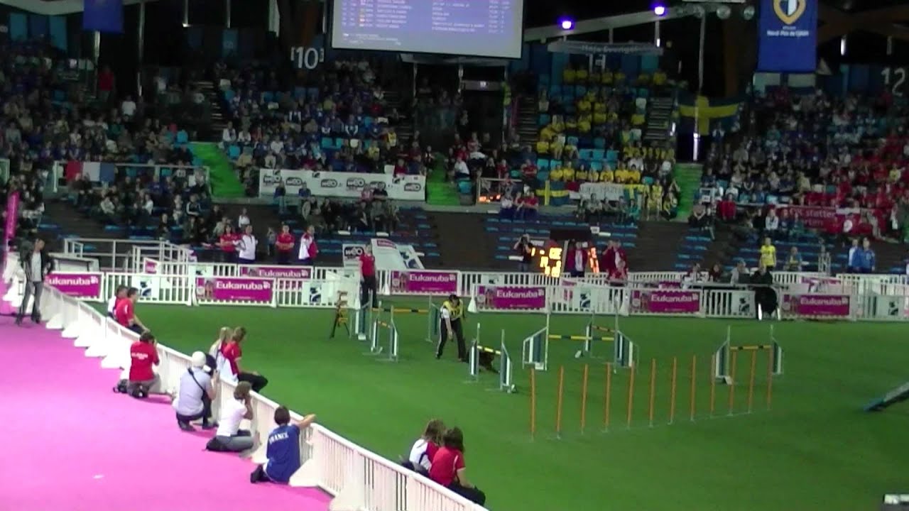 Kralova Tereza, Little Jackie, Border Collie, CZE, Agility Large, Agility WC 2011.MTS