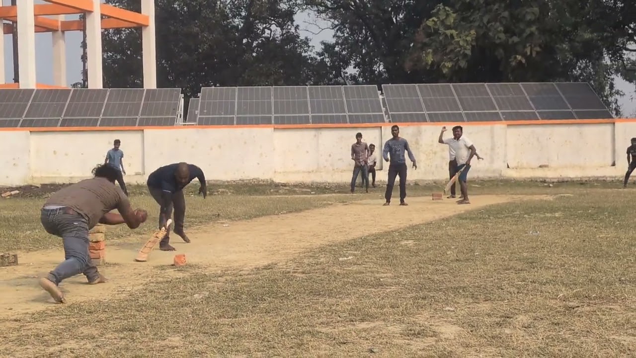 Cricket 