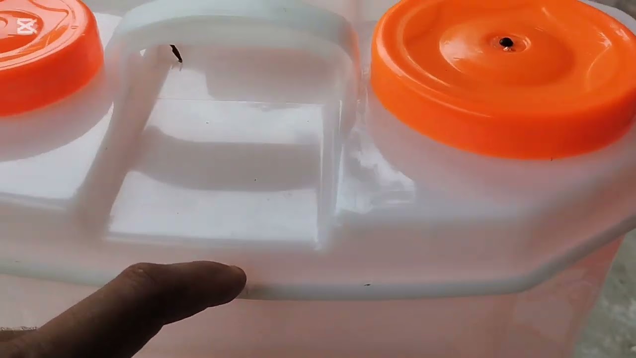  BOMBA PULVERIZADORA ELETRICA! Testada e Aprovada ✅