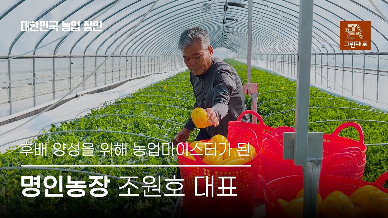 참외 명인 인터뷰! 성주하면 참외?🥭참외 품평회 대상! 참외재배│맛있는 참외│참외 농사│조원호 명인│농업마이스터│참외재배│작목반장