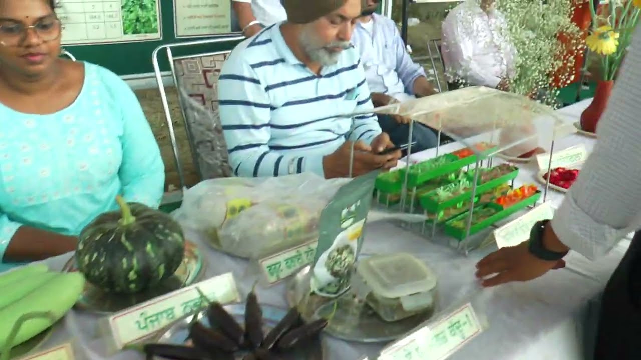 Variety New Seeds | PAU | किसान मेला | ਕਿਸਾਨ ਮੇਲਾ Punjab Agriculture University Ludhiana, Cultivator